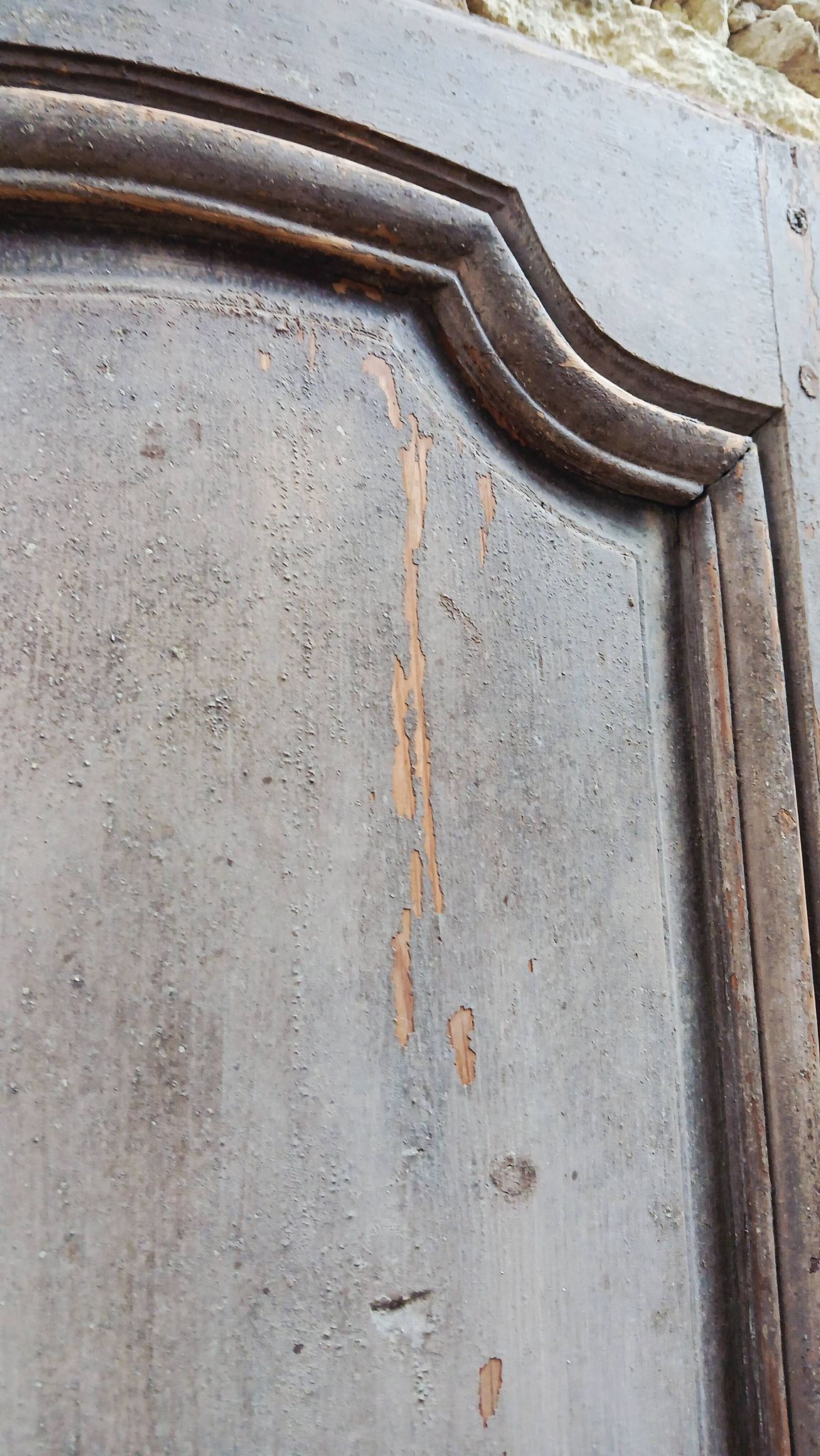 Pair of antique doors