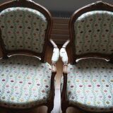 Pair of Louis XV style armchairs