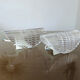 Pair of transparent plexiglass sconces 1970