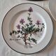 Villeroy&Bosch new breakfast or afternoon tea plate set