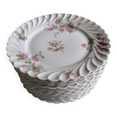 12  assiettes plates haviland