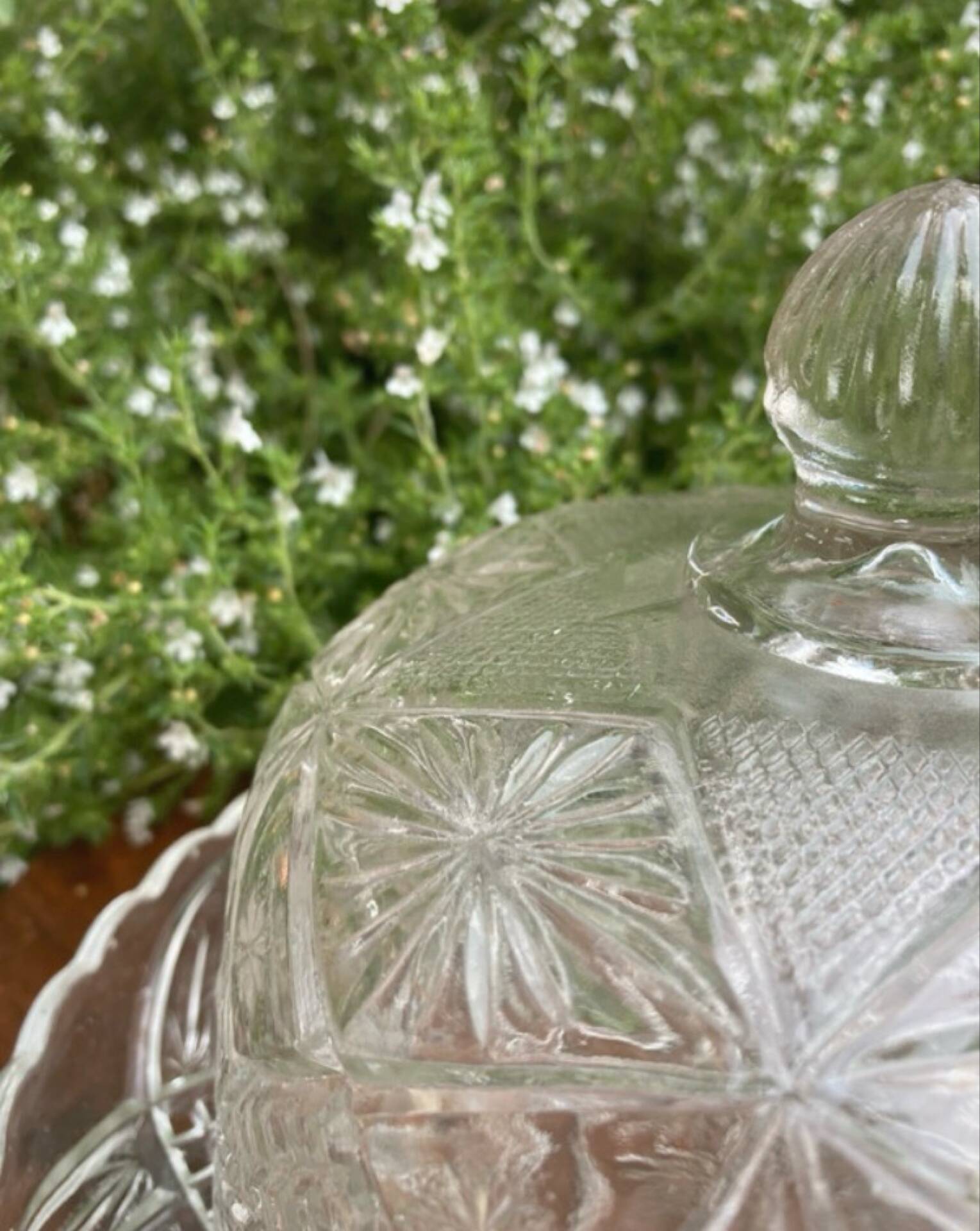 Pressed and moulded glass cheese dome