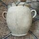 Terracotta pot