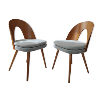 Série de 2 chaises Antonin Suman années 60