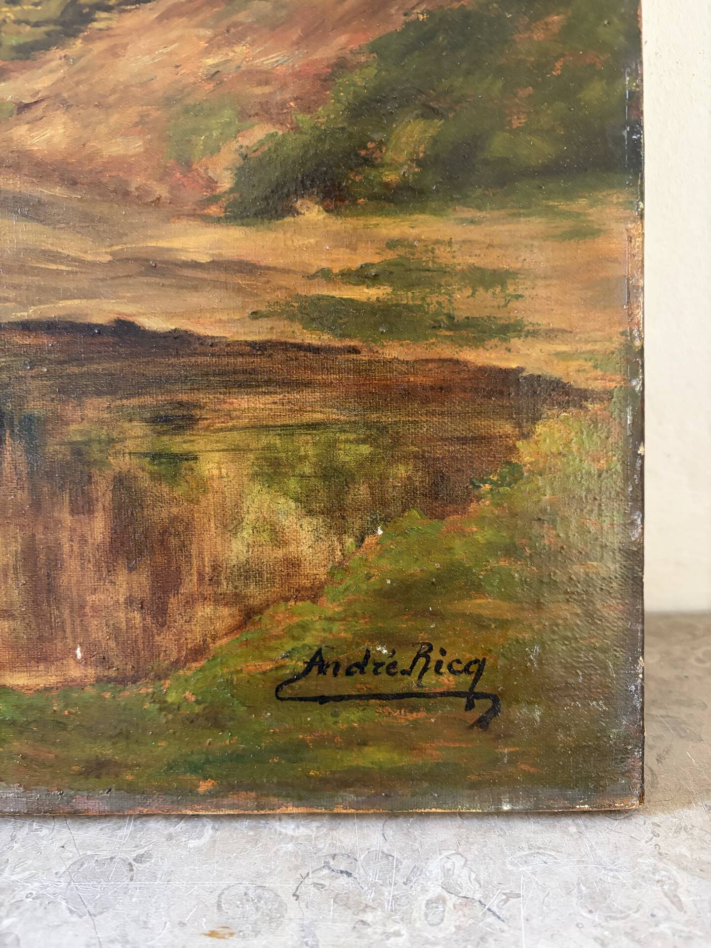 Landscape at the pond, oil on canvas signed André Ricq.