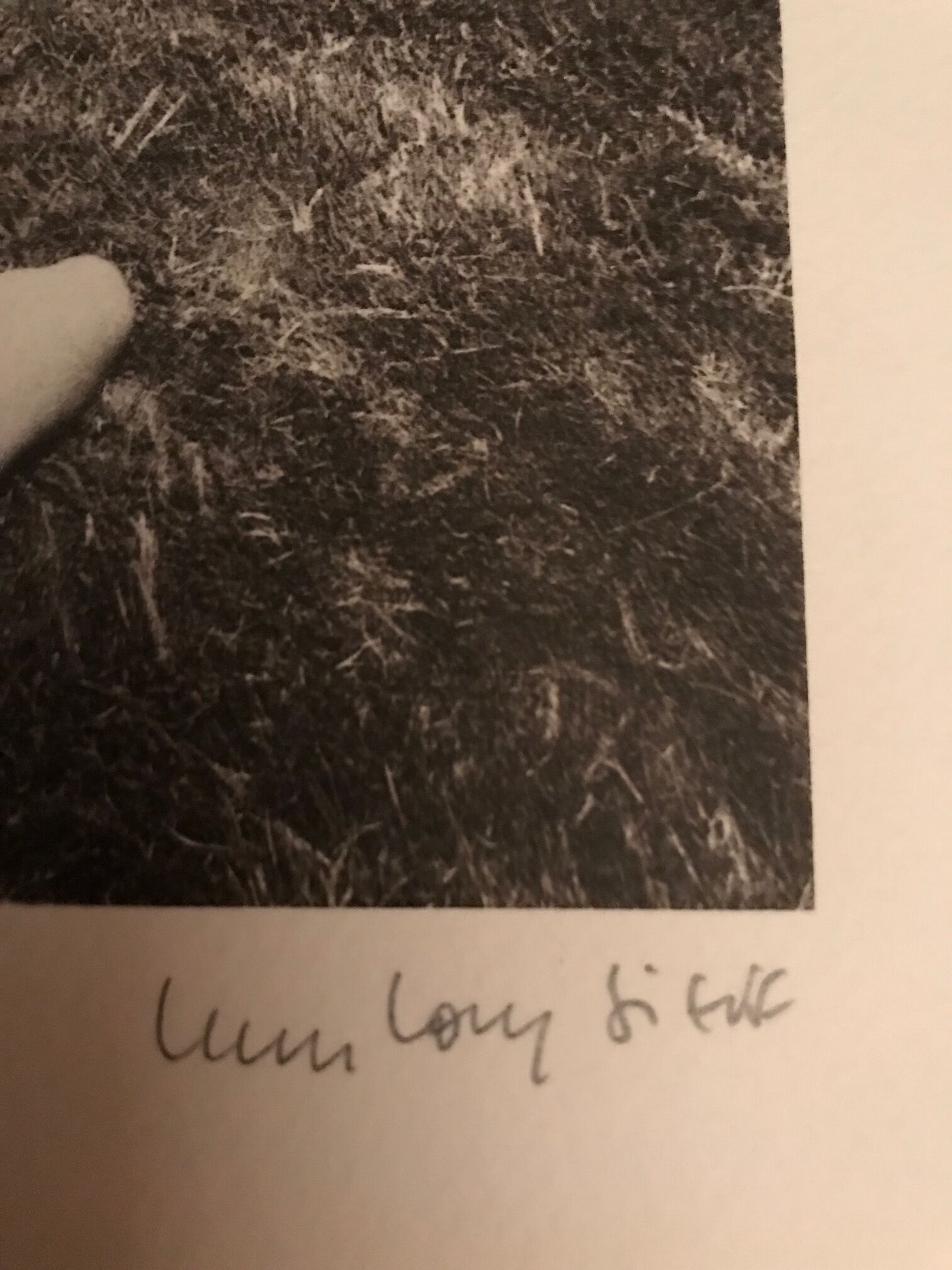 Heliography signed Jeanloup Sieff.