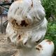 Old garden bust in cast iron troubadour early twentieth century