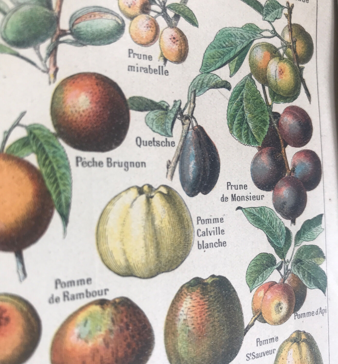 Original vintage fruit board