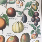 Original vintage fruit board