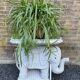 Wicker elephant side table