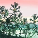 A summer feel