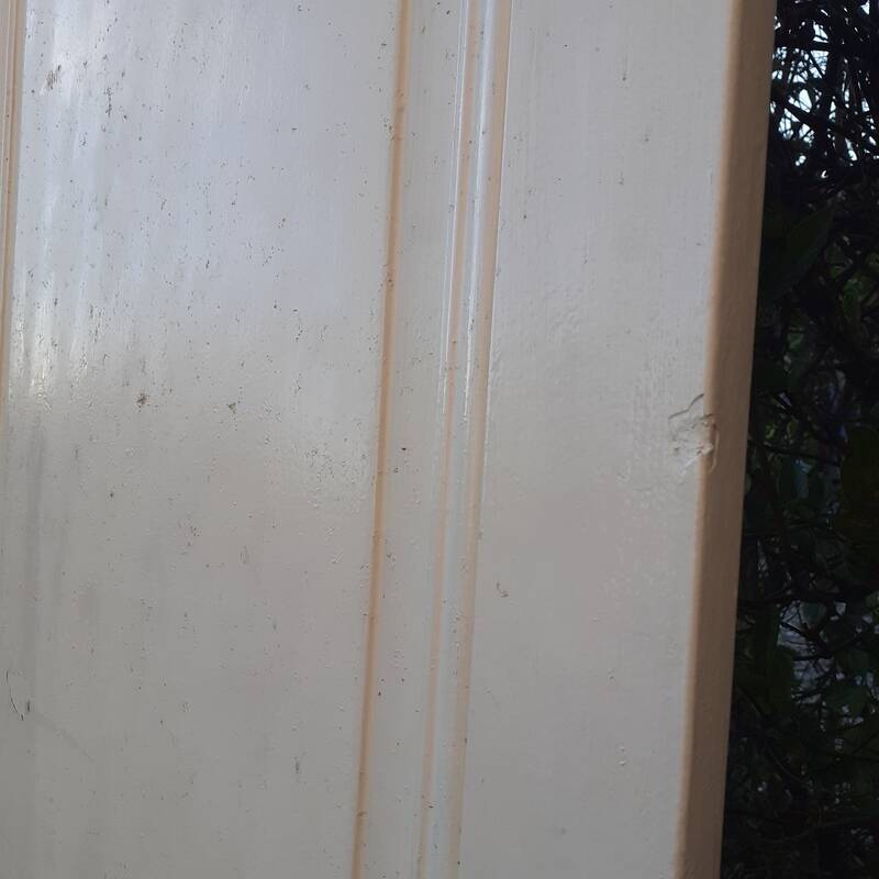 3 large old Haussmann-style wardrobe doors 19th century H260cm
