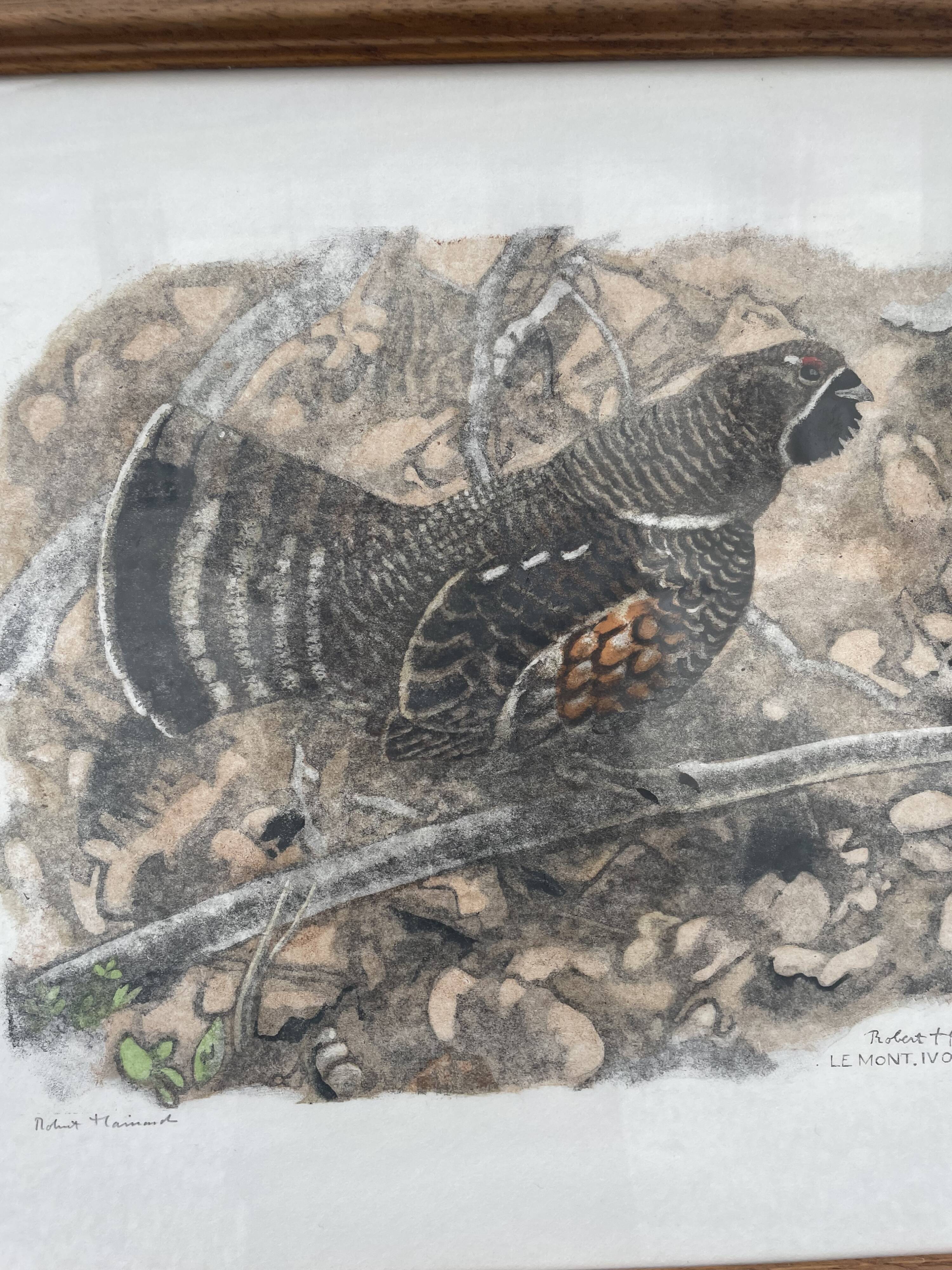 Gravure originale de Robert Hainard