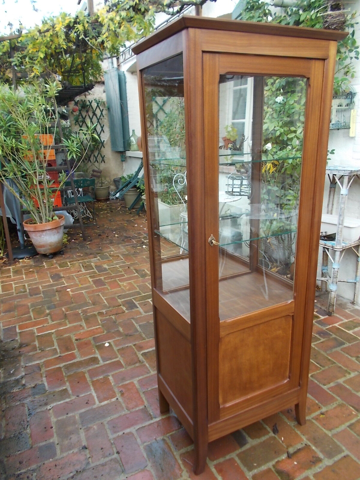 Mahogany showcase
