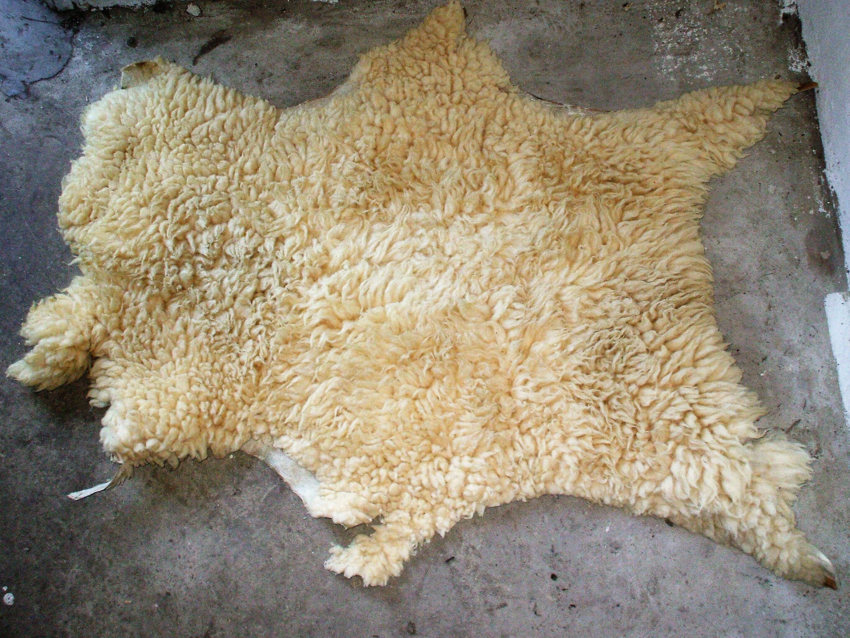 Sheep skin 60 x 87 cm