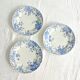 Set of 3 iron earth flat plates Saint Amand et Hamage, Bellflower