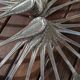 Set of 12 silver plated forks and 12 spoons 84g