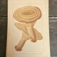 Series of 27 plates h. baillon iconography flora mushrooms vintage