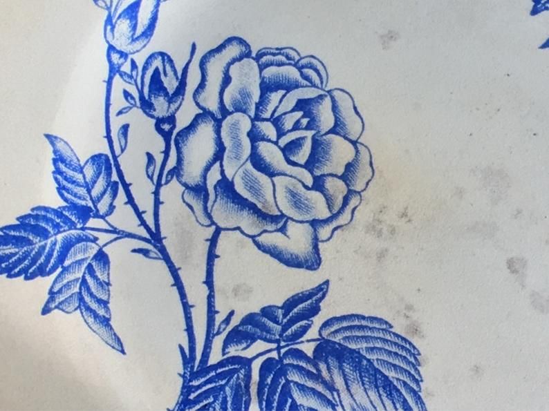2 flat plates mismatched iron earth with blue flower motifs France