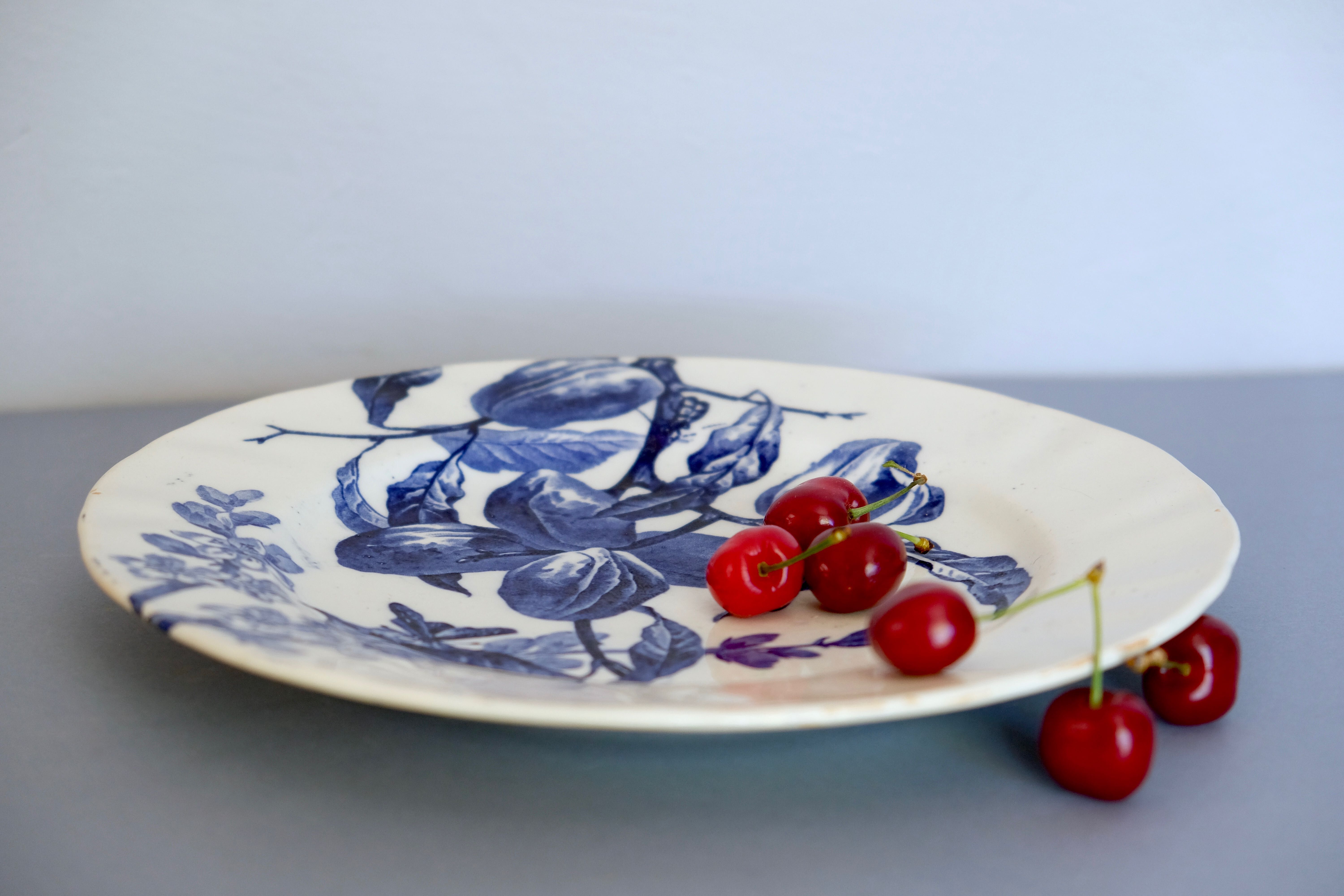 Plum plate in earthenware from Creil Montereau B. Former MC Co.