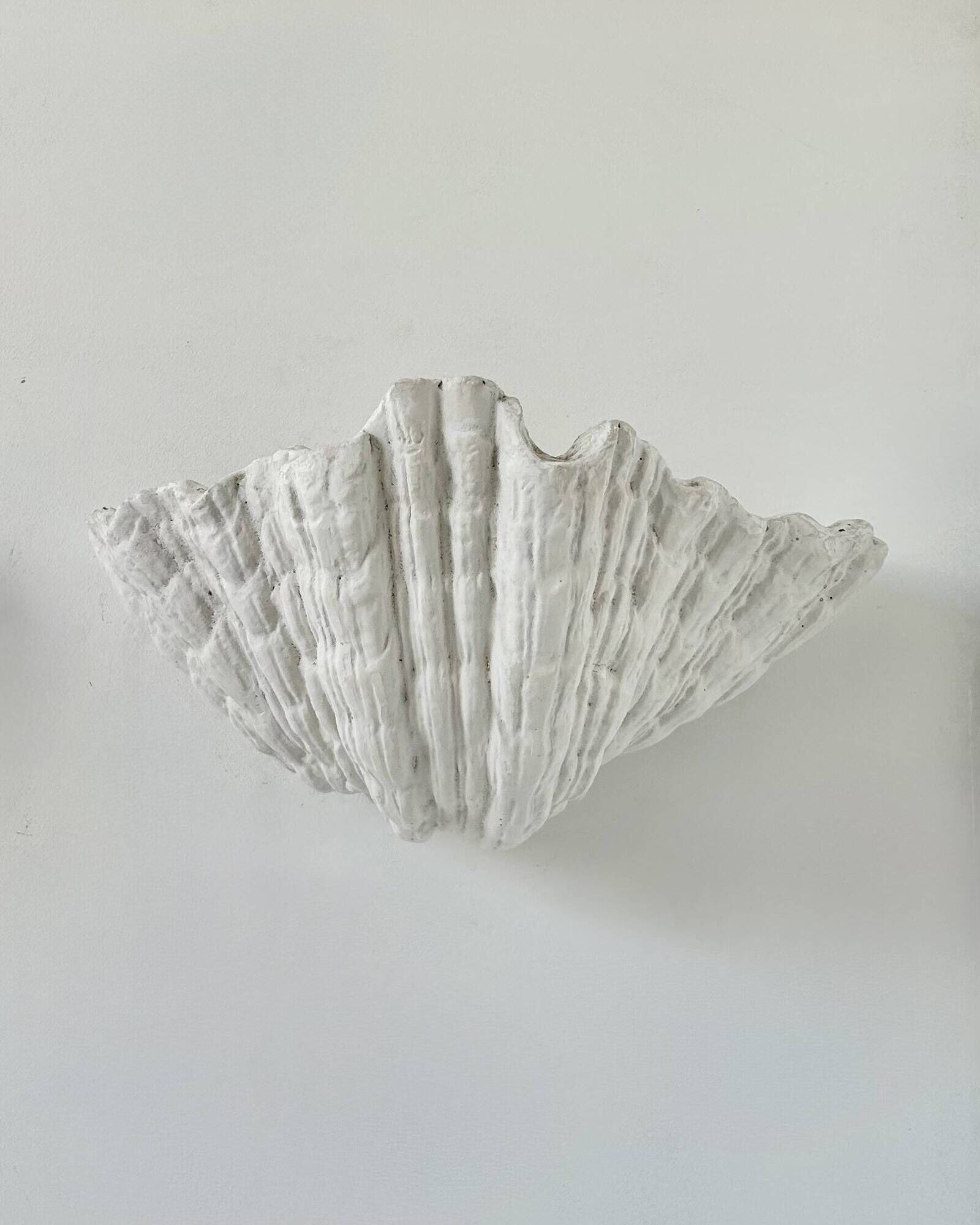 Pair of XL vintage shell plaster wall lights, France, attributed to S. Roche.