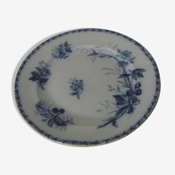 Set of two ripe plates