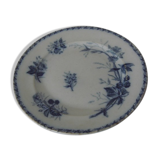 Set of two ripe plates