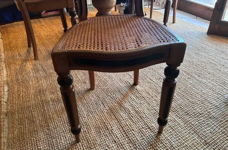 Napoleon III Medallion Chairs - Handmade Caning