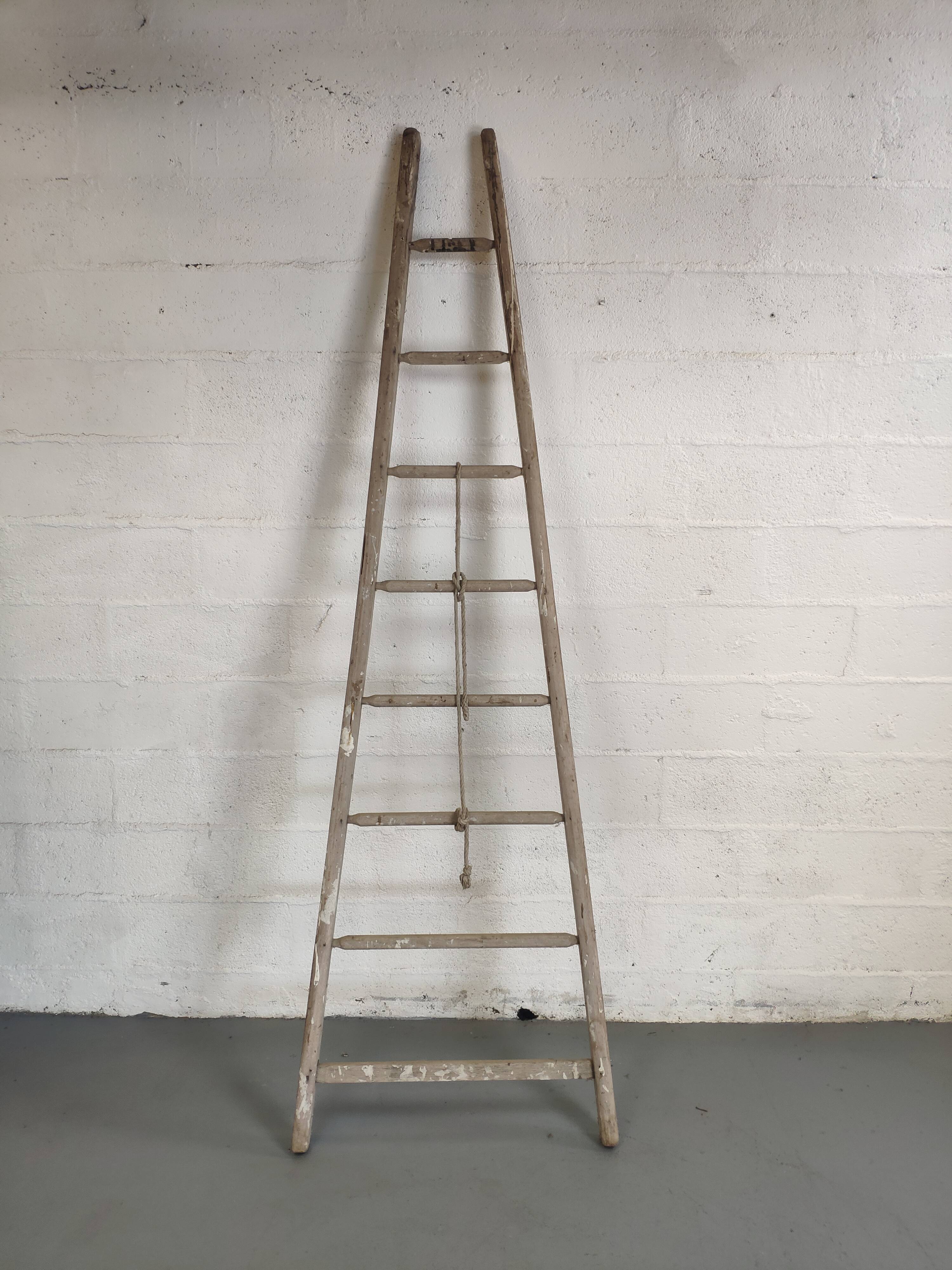 Échelle de fruitier ancienne 2.40m
