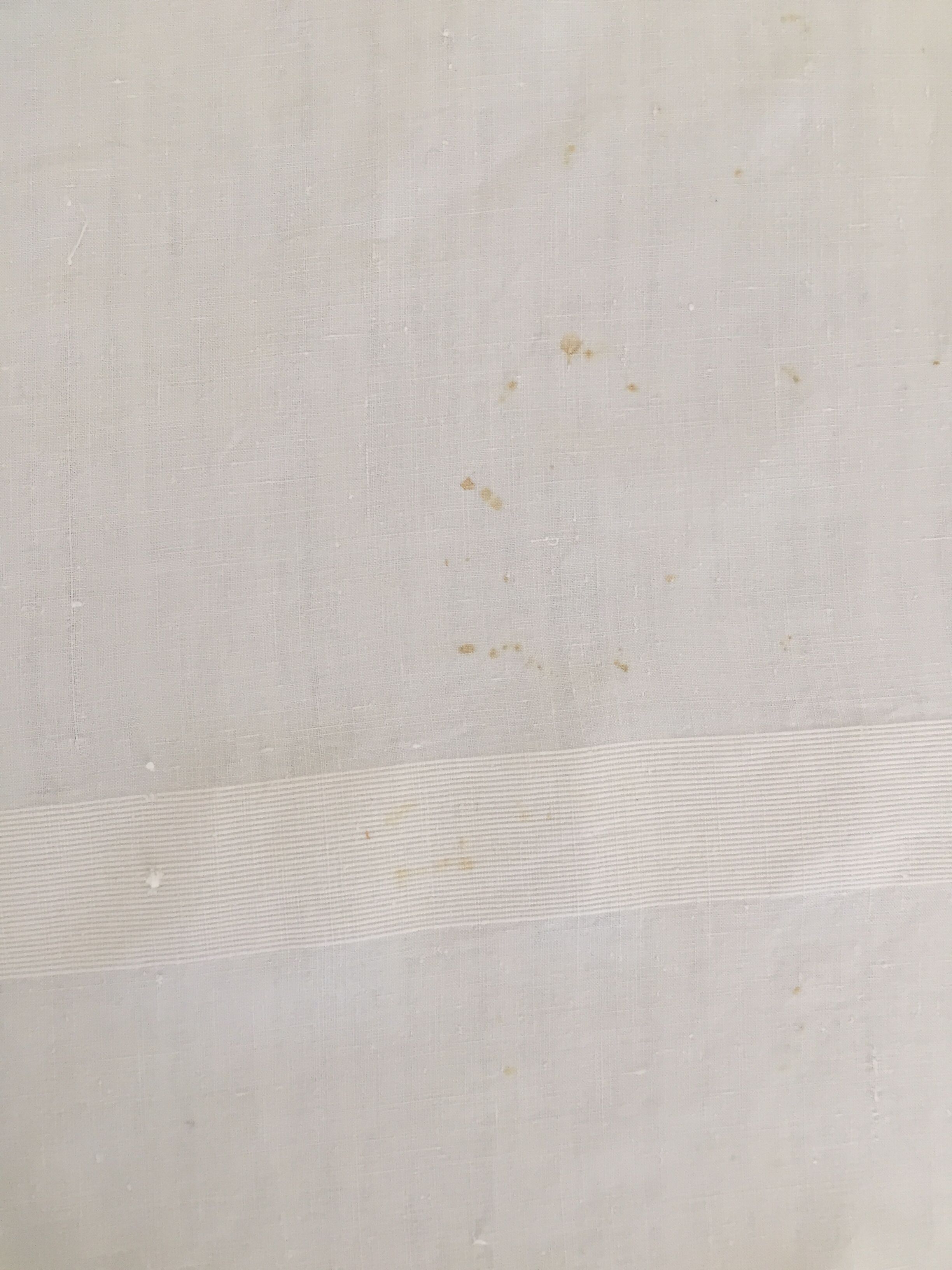 XXL winemaker's tablecloth for large table, festive meal