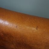 Club armchair in sheepskin