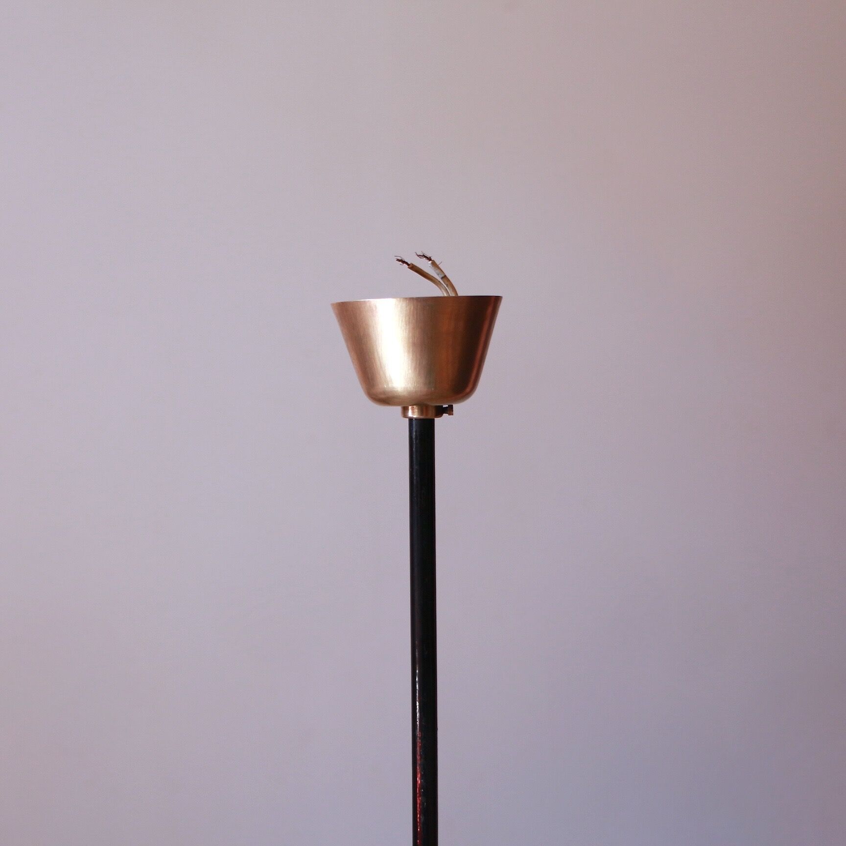 Lustre 4 tulips and brass