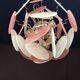 Handcrafted chandelier with alabaster disc glass, Murano glass.