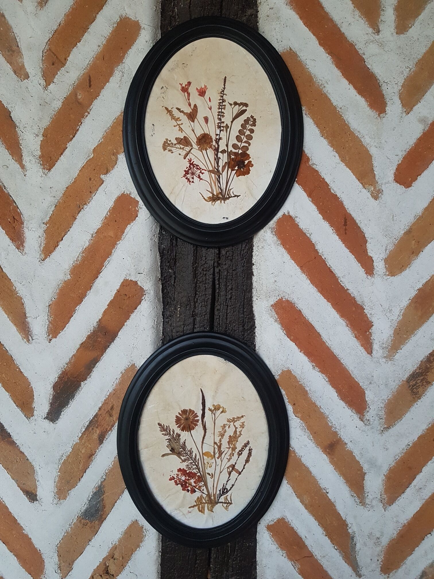 Pair of dried flower frames