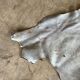 Vintage cowhide