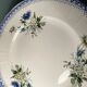 Set of 12 flat plates Terre de Fer St Amand and Hamage