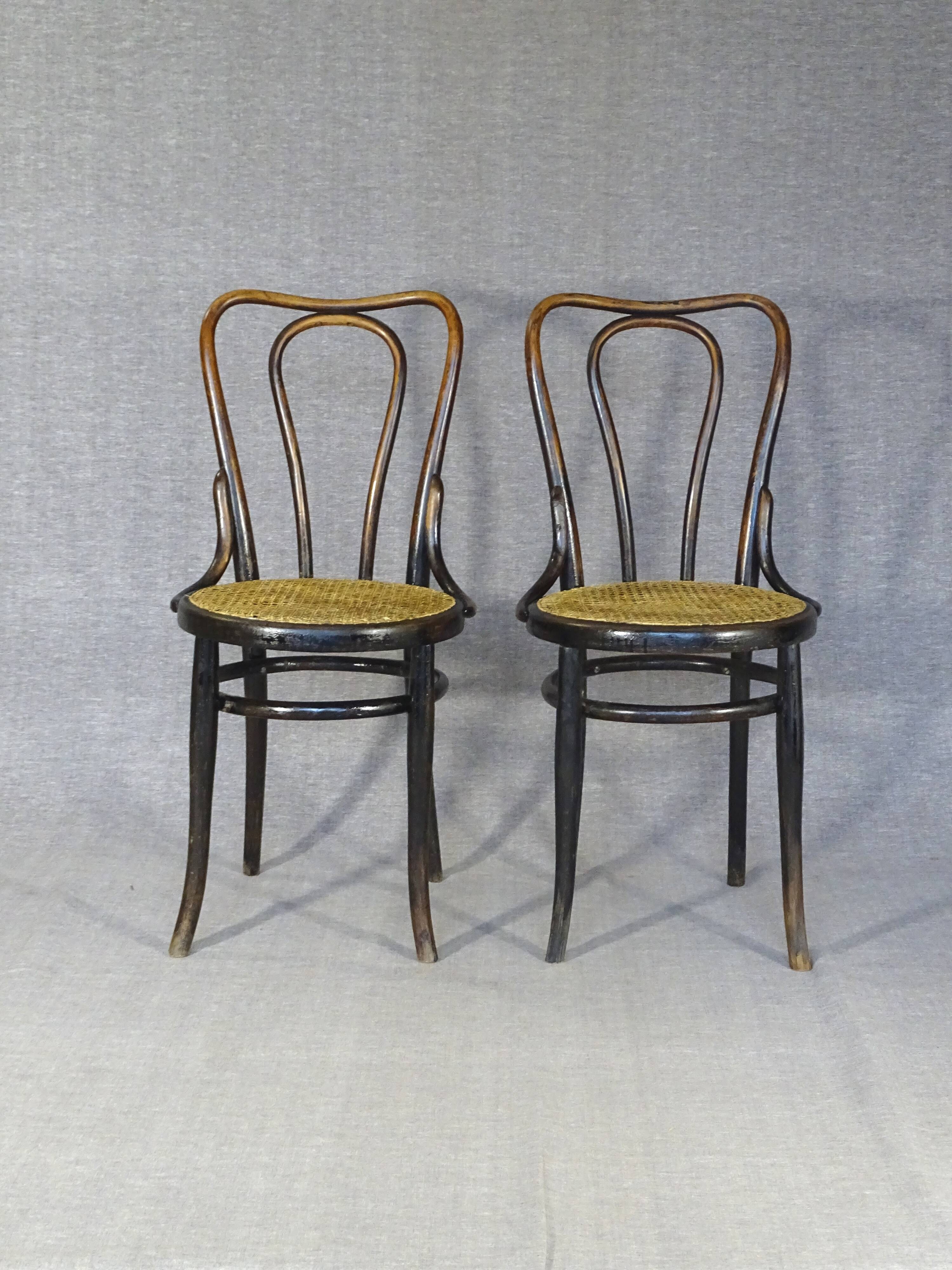 2 Kohn chairs no. 48 by Kohn 1890, not Thonet bistro - caned -