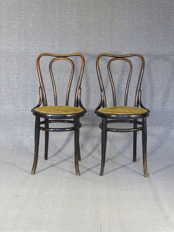 2 chaises Kohn n°48 par Kohn 1890, no Thonet bistro - cannées -
