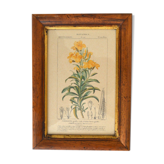 Vintage botanical setting