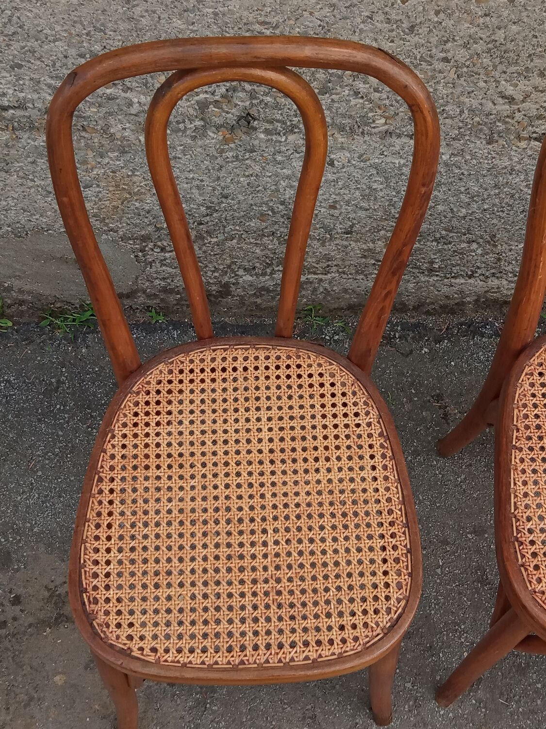 Pair of caned Fischel chairs, circa 1900