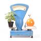 Vintage brocante scale