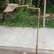 Italian floor lamp in gilded brass with swing arm