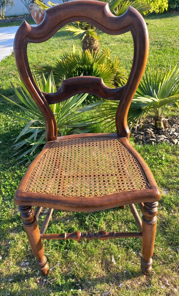 Lot 6 Chaises cannées Louis-Philippe mi XIXème siècle