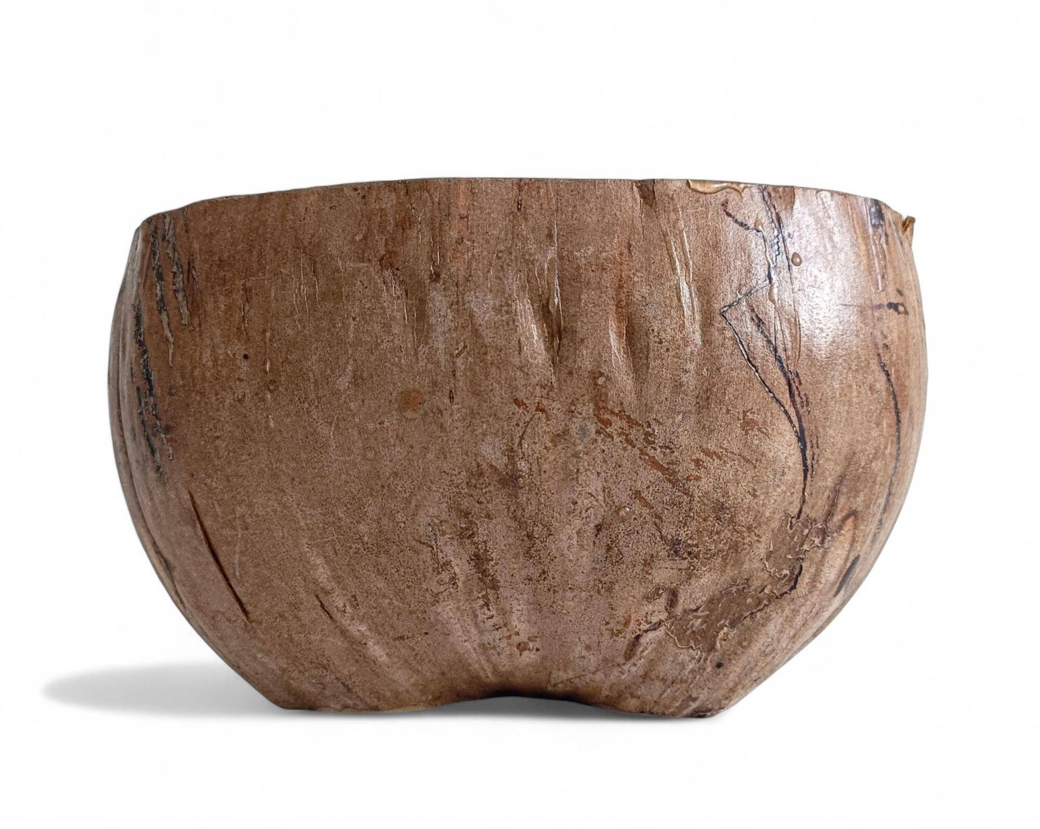 Centre de table Wabi Sabi moderne organique Coco de Mer, sculpté à la main, 19e siècle.