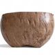 Wabi Sabi Organic Modern Coco de Mer Centerpiece, Hand-Carved, 19th C.
