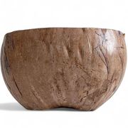 Centre de table Wabi Sabi moderne organique Coco de Mer, sculpté à la main, 19e siècle.