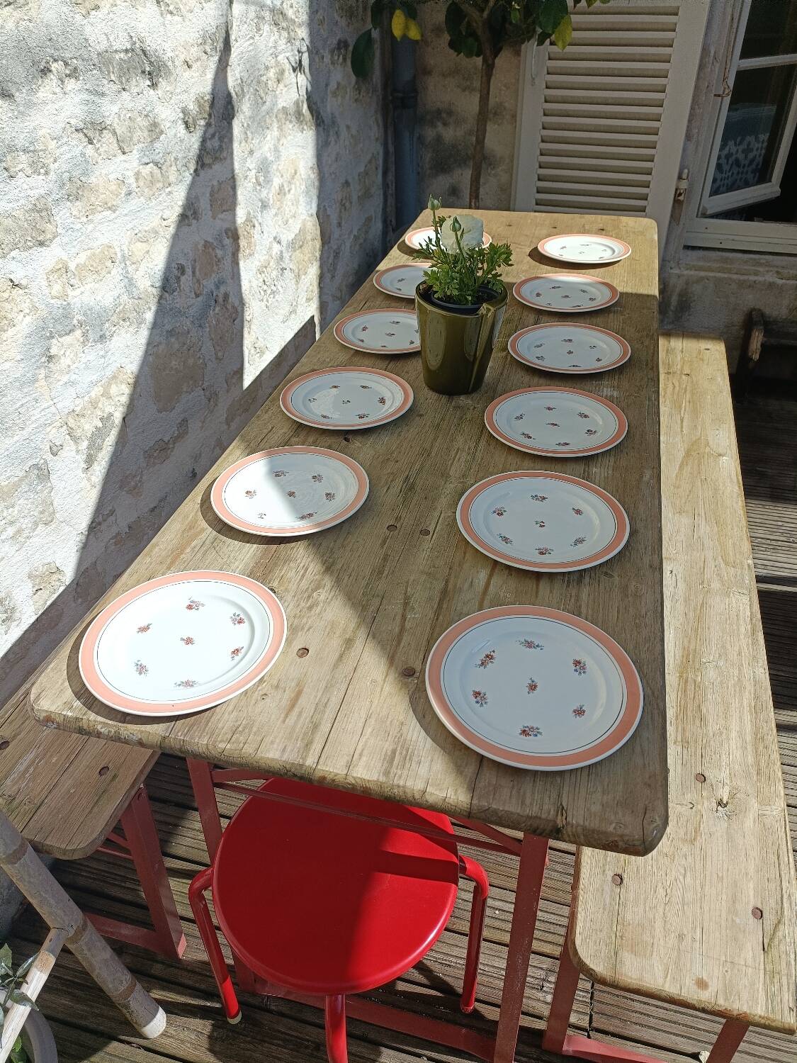 Set of 12 floral dessert plates