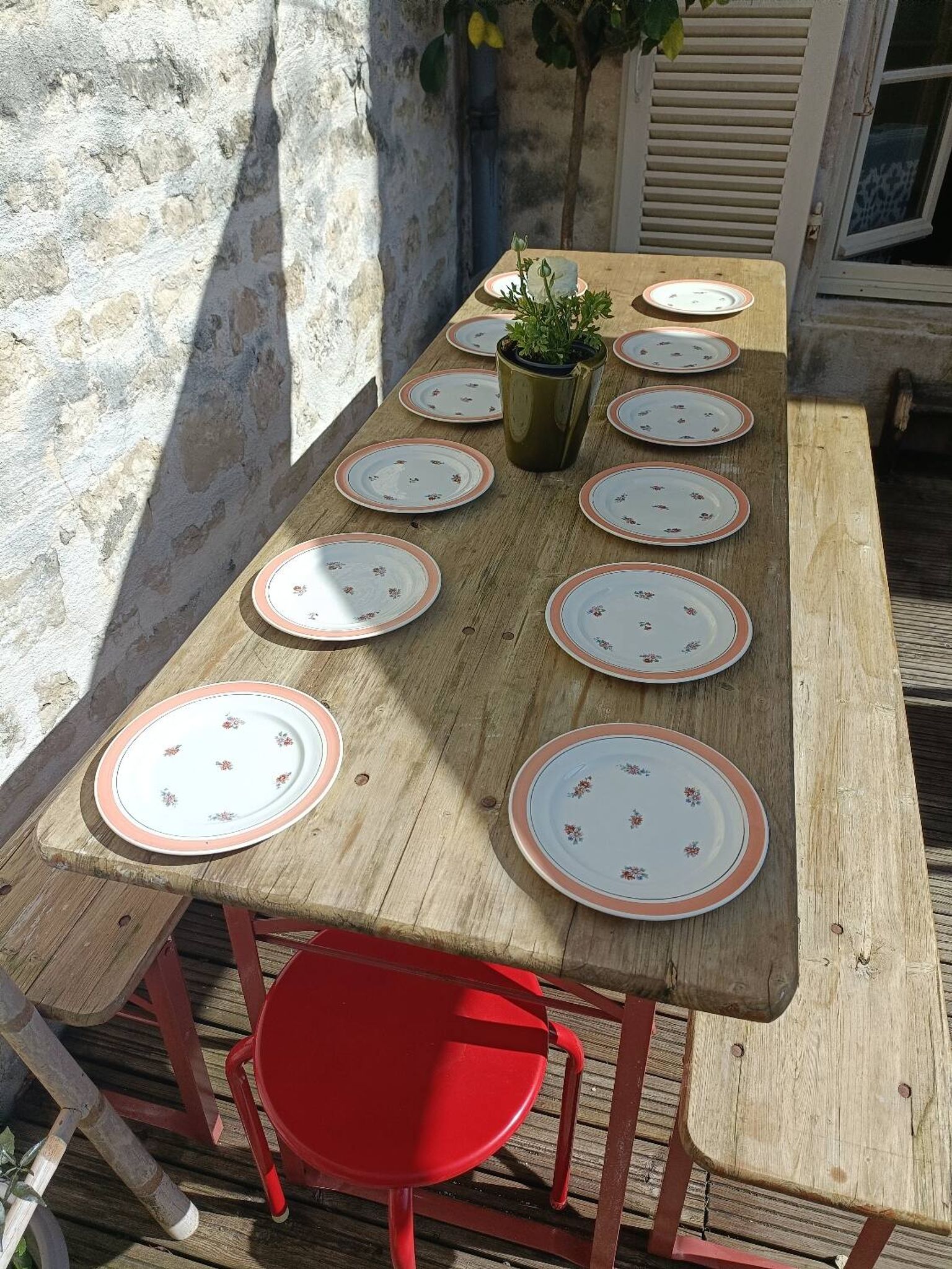Set of 12 floral dessert plates