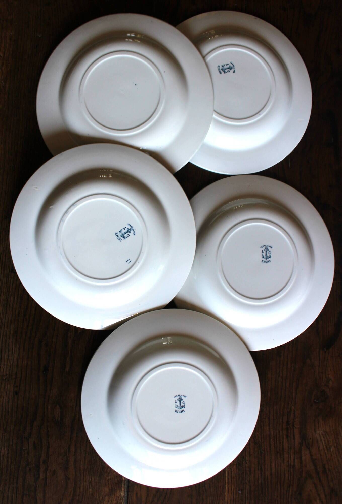 A set of 5 deep plates Chardon Bleu Terre de Fer Clairefontaine Righi