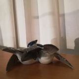 Couple of birds - Fraureuth porcelain Carl Nacke